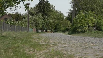 Без магазину та транспорту: як живуть люди у селі Зелений Дуб на Рівненщині Без магазину та транспорту: як живуть люди у селі Зелений Дуб на Рівненщині