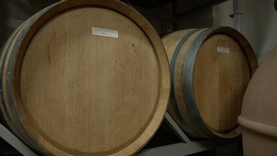 Крафтове вино, виробництво сина, виноробня, виноград, вино, Буячок, Тернопільщина, вересень 2025