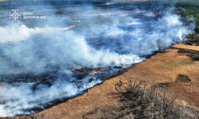 У Запоріжжі у плавневій зоні Дніпра вигоріло 2,5 гектара – ДСНС У Запоріжжі у плавневій зоні Дніпра вигоріло 2,5 гектара – ДСНС