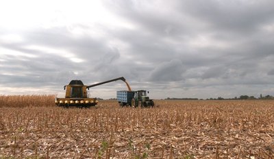На Черкашині через погоду затрималась посівна На Черкашині через погоду затрималась посівна