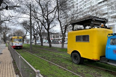 В Одесі дерево впало на жінку В Одесі дерево впало на жінку