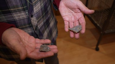 Понад 20 років була символом підприємства. Історія папуги Дусі, яка пережила удар РФ по Дніпру 1 грудня Понад 20 років була символом підприємства. Історія папуги Дусі, яка пережила удар РФ по Дніпру 1 грудня