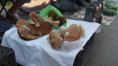 "Збираю ті, які я добре знаю": як не отруїтися під час грибного сезону на Сумщині "Збираю ті, які я добре знаю": як не отруїтися під час грибного сезону на Сумщині