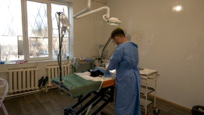 Краматорськ ветлікарі тварини Донецька область 5 лютого 2025 рік Краматорськ ветлікарі тварини Донецька область 5 лютого 2025 рік