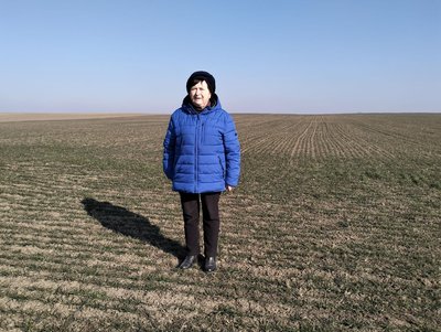 Посіви озимини на Волині та вплив погоди: що показав моніторинг Посіви озимини на Волині та вплив погоди: що показав моніторинг