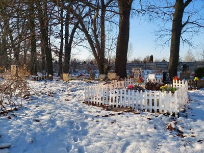 "Щоб гідно попрощатися": у Черкасах просять зробити кладовище домашніх тварин — чи можливо це "Щоб гідно попрощатися": у Черкасах просять зробити кладовище домашніх тварин — чи можливо це