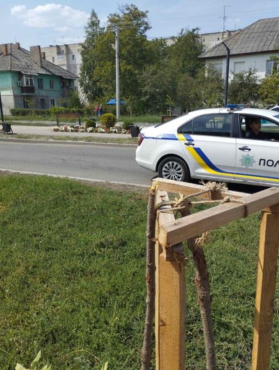поламані сакури у Смілі поламані сакури у Смілі