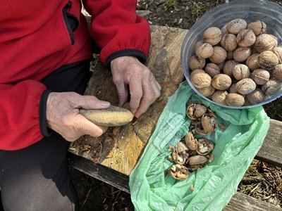 "Я щаслива, що я сюди попала": 85-річна переселенка з Харкова почала нове життя у Сколе