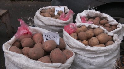 Скільки коштують сезонні овочі та фрукти на ринку у Рівному Скільки коштують сезонні овочі та фрукти на ринку у Рівному