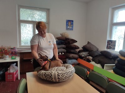 Світлана Вишневська, ВПО, подушки Світлана Вишневська, ВПО, подушки