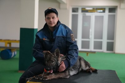 "Для нас — робота, для них — гра": як на Сумщині готують собак-рятувальників для пошуку людей під завалами "Для нас — робота, для них — гра": як на Сумщині готують собак-рятувальників для пошуку людей під завалами