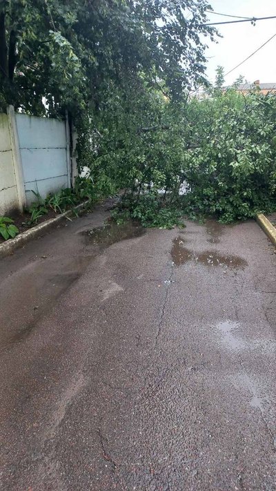 У Бердичеві злива затопила вулиці, дитсадки і станцію швидкої допомоги: як ліквідовують наслідки У Бердичеві злива затопила вулиці, дитсадки і станцію швидкої допомоги: як ліквідовують наслідки