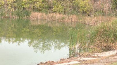 Вода зеленіє: що показали перевірки води у центральному ставку в Попівці на Черкащині Вода зеленіє: що показали перевірки води у центральному ставку в Попівці на Черкащині
