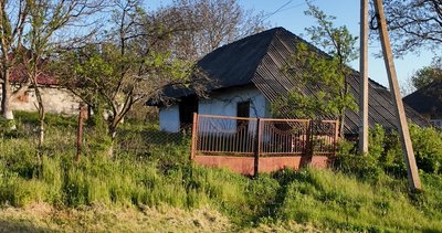 “Село, яке не хоче помирати”: як живуть у Шишківцях на Буковині, де залишилося пів сотні людей “Село, яке не хоче помирати”: як живуть у Шишківцях на Буковині, де залишилося пів сотні людей