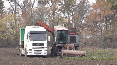 "Хотілося б більше": чому аграрії Черкащини посіяли менше цукрового буряка "Хотілося б більше": чому аграрії Черкащини посіяли менше цукрового буряка