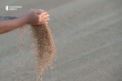 Зерно є, продати його нікуди: як блокування портів змінює роботу аграріїв Одещини Зерно є, продати його нікуди: як блокування портів змінює роботу аграріїв Одещини