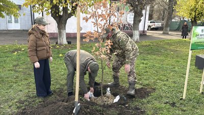 На Миколаївщині висадили мільярдне дерево На Миколаївщині висадили мільярдне дерево