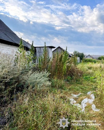 Кущі конопель, які знайшли у жителя Рівненщини, спалили — поліція Кущі конопель, які знайшли у жителя Рівненщини, спалили — поліція
