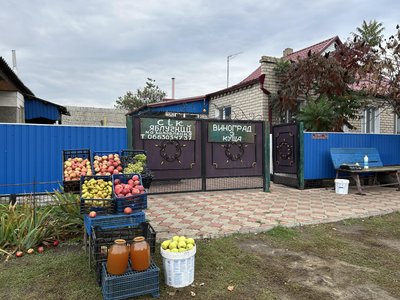 "Вродили усі сорти": подружжя з Дніпропетровщини вирощує яблука за майже 20 км від фронту "Вродили усі сорти": подружжя з Дніпропетровщини вирощує яблука за майже 20 км від фронту