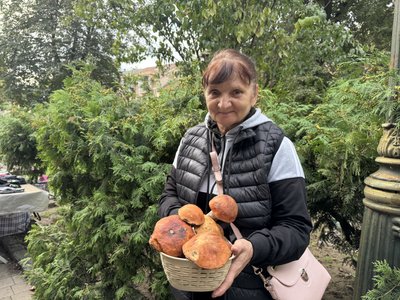В Ужгороді кілограм грибів на місцевому ринку коштує 100-350 гривень: як вберегтися від отруєння В Ужгороді кілограм грибів на місцевому ринку коштує 100-350 гривень: як вберегтися від отруєння