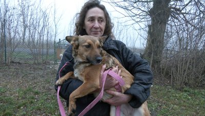 "Мажор з Дружківки". Як волинська волонтерка допомагає прилаштовувати собак з прифронтових територій