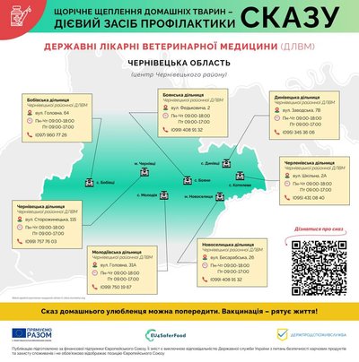 Де на Буковині можна безплатно вакцинувати тварин проти сказу – перелік адрес Де на Буковині можна безплатно вакцинувати тварин проти сказу – перелік адрес