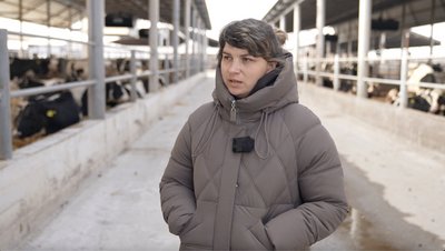 100 телят за місяць: як на Черкащині працює пологовий комплекс для корів 100 телят за місяць: як на Черкащині працює пологовий комплекс для корів