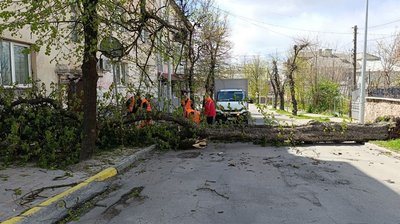 Штормовий вітер, наслідки негоди на Тернопільщині Штормовий вітер, наслідки негоди на Тернопільщині