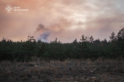 Пожежу у Лиманському лісі локалізували —ДСНС Пожежу у Лиманському лісі локалізували —ДСНС