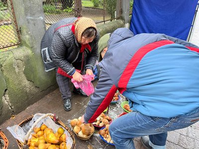 Сезон грибів на Закарпатті: скільки просять за кілограм та які види продають на ринку Сезон грибів на Закарпатті: скільки просять за кілограм та які види продають на ринку