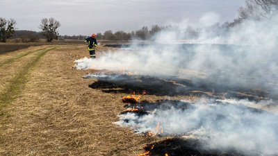 На Черкащині горів сухостій На Черкащині горів сухостій