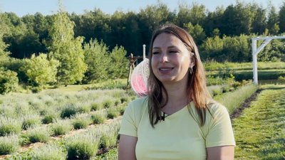 "Мріяла побувати у Провансі на лавандових полях": у жительки Чернігівщини розквітли 430 кущів лаванди та лавандину "Мріяла побувати у Провансі на лавандових полях": у жительки Чернігівщини розквітли 430 кущів лаванди та лавандину