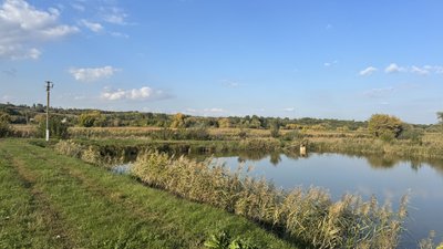 Підприємства, які вирощують прісноводну рибу, можуть отримати компенсацію від держави: які умови й терміни виплат Підприємства, які вирощують прісноводну рибу, можуть отримати компенсацію від держави: які умови й терміни виплат