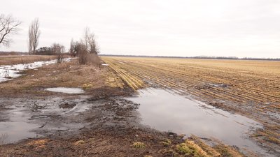Морози й крига на полях Кіровоградщини: як вплинули на озимі та чи можна врятувати посіви Морози й крига на полях Кіровоградщини: як вплинули на озимі та чи можна врятувати посіви