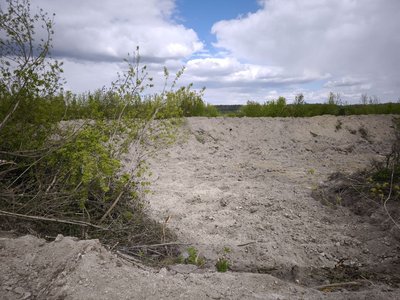 У Кострижівці на Буковині виступили проти здачі в оренду землі Лужанському спиртзаводу: чого побоюються У Кострижівці на Буковині виступили проти здачі в оренду землі Лужанському спиртзаводу: чого побоюються