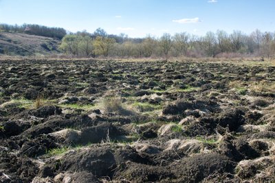 "Нічого святого": на Уманщині біля джерела переорали поле
