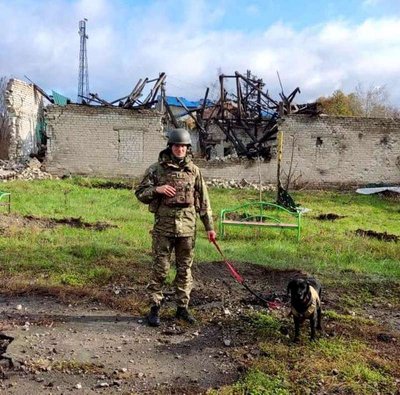 Обстежувала школи, знаходила заміновані тіла. Як лабрадор Кіра допомагає розміновувати Донецьку область Обстежувала школи, знаходила заміновані тіла. Як лабрадор Кіра допомагає розміновувати Донецьку область