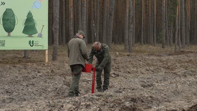 "Нещадно знищили": як відновлюють ліс після найбільшої в Україні незаконної вирубки на Рівненщині "Нещадно знищили": як відновлюють ліс після найбільшої в Україні незаконної вирубки на Рівненщині