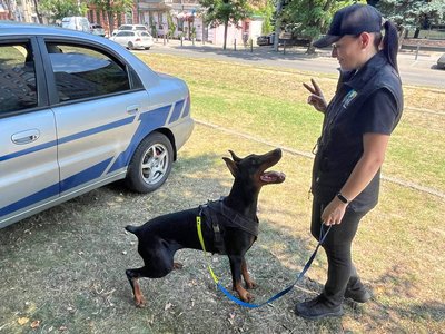 Під час розбору завалів пошкодженого будинку у Дніпрі виявили тіло жінки Під час розбору завалів пошкодженого будинку у Дніпрі виявили тіло жінки