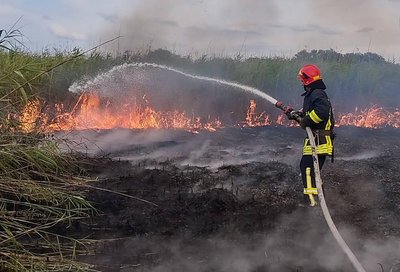 На Черкащині вихідними сталось 12 займань На Черкащині вихідними сталось 12 займань