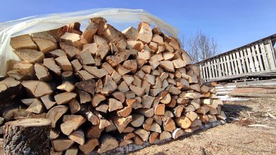 огірки у парниках огірки у парниках
