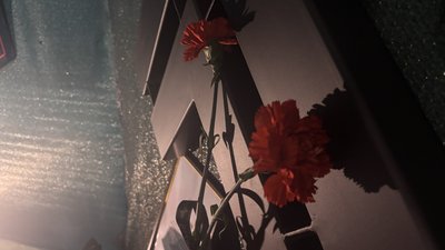 Квіти на місці вшанування пам’яті полеглих хартійців Квіти на місці вшанування пам’яті полеглих хартійців