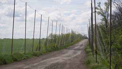 " У мене родина на кладовищі. Я звідси не піду". Як живуть у прифронтовій Володимирівці на Дніпропетровщині " У мене родина на кладовищі. Я звідси не піду". Як живуть у прифронтовій Володимирівці на Дніпропетровщині