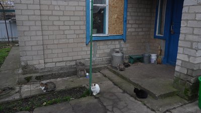 "Я хочу на Батьківщині померти": життя в Покровському за вісім кілометрів від фронту "Я хочу на Батьківщині померти": життя в Покровському за вісім кілометрів від фронту