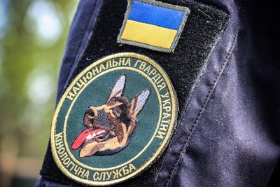На Одещині нагородили вівчарку Кіру медаллю "За віддану службу" На Одещині нагородили вівчарку Кіру медаллю "За віддану службу"