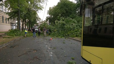 "Зірвало дах – я встиг відскочити". Що кажуть мешканці Львова про наслідки негоди у місті "Зірвало дах – я встиг відскочити". Що кажуть мешканці Львова про наслідки негоди у місті