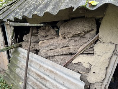 "У своїй хаті вже доживу". Як живуть останні мешканці покинутого села на Сумщині "У своїй хаті вже доживу". Як живуть останні мешканці покинутого села на Сумщині