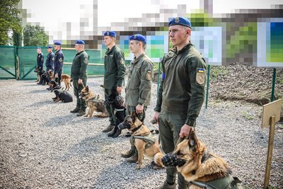 На Одещині нагородили вівчарку Кіру медаллю "За віддану службу" На Одещині нагородили вівчарку Кіру медаллю "За віддану службу"