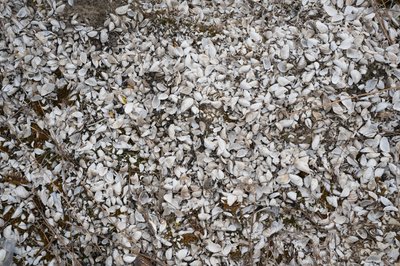 Оскільське водосховище