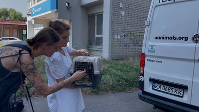 "Шукаємо їм родини": до Черкас евакуювали котів з Донецької області "Шукаємо їм родини": до Черкас евакуювали котів з Донецької області